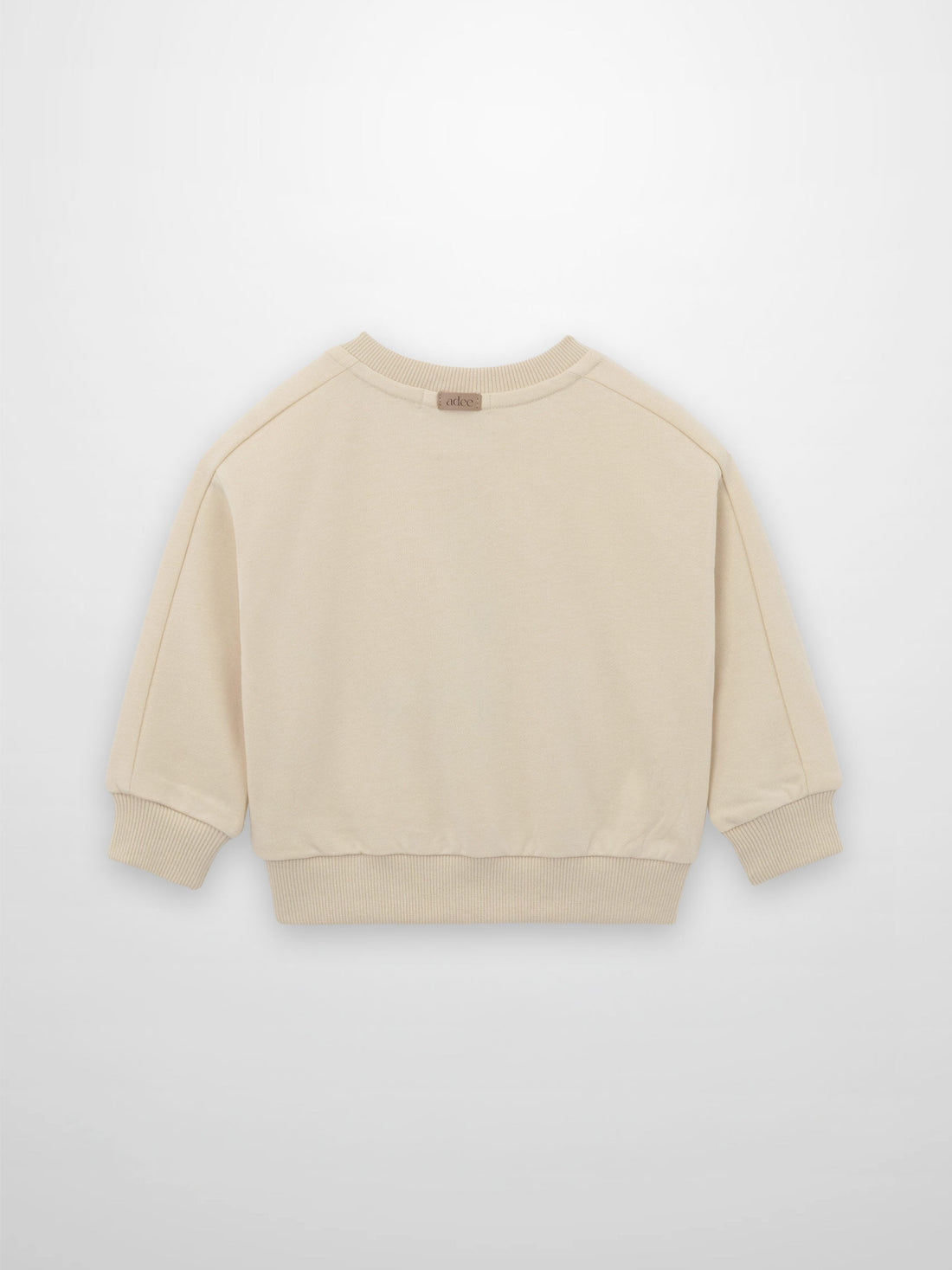 Embroidered Boy Sweatshirt