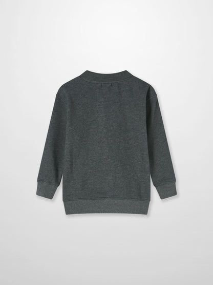 Windsor Sweatshirt, dark heather gray unisex top, back view with ribbed cuffs and hem.