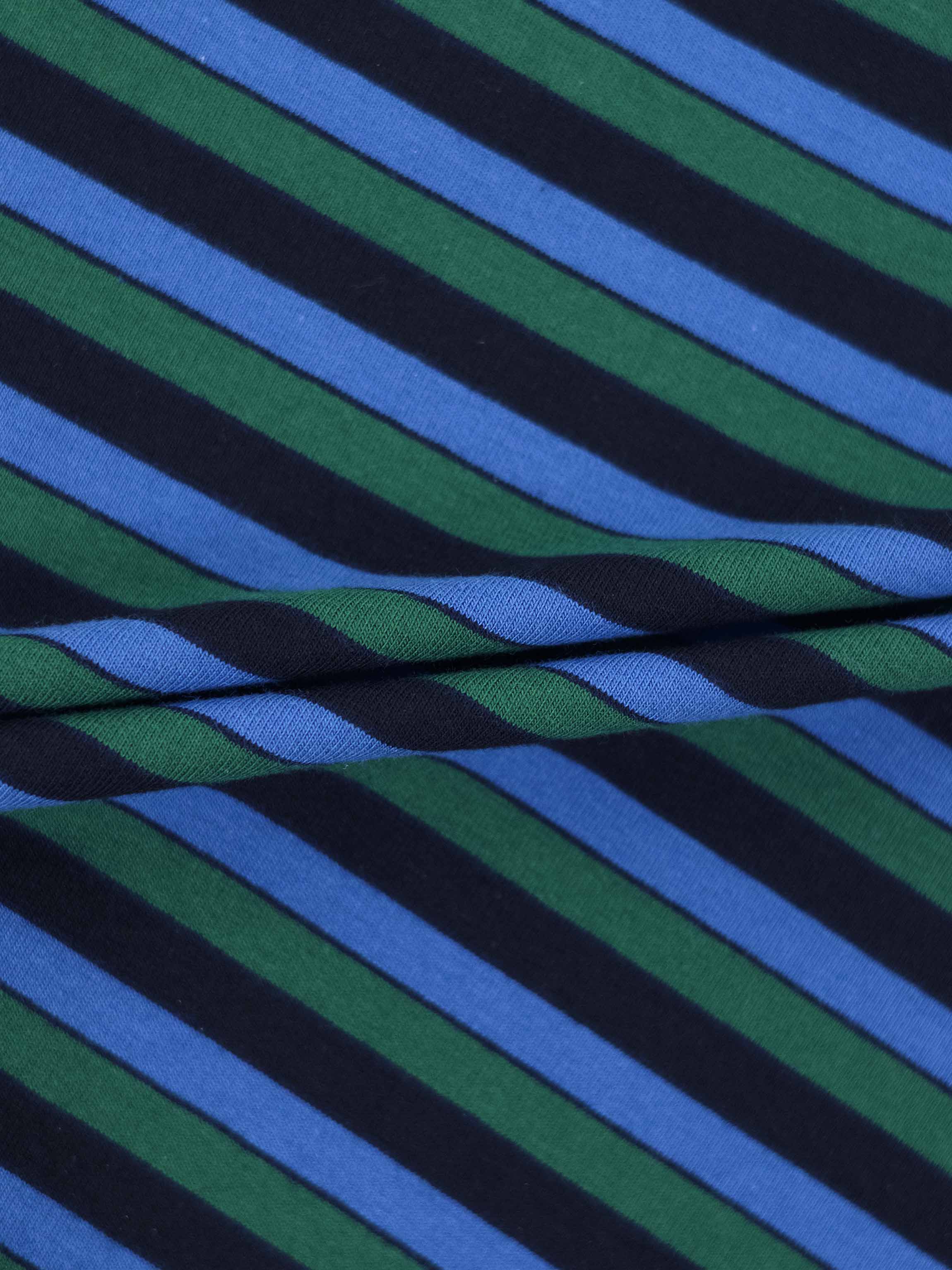 Blue Striped T-Shirt