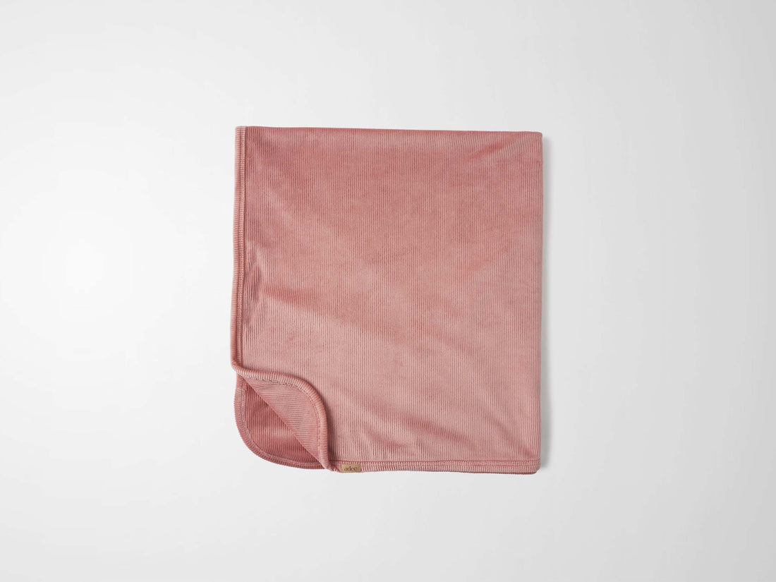 2_8a784c2d-df56-4a20-8cdb-8d03360e1e4a