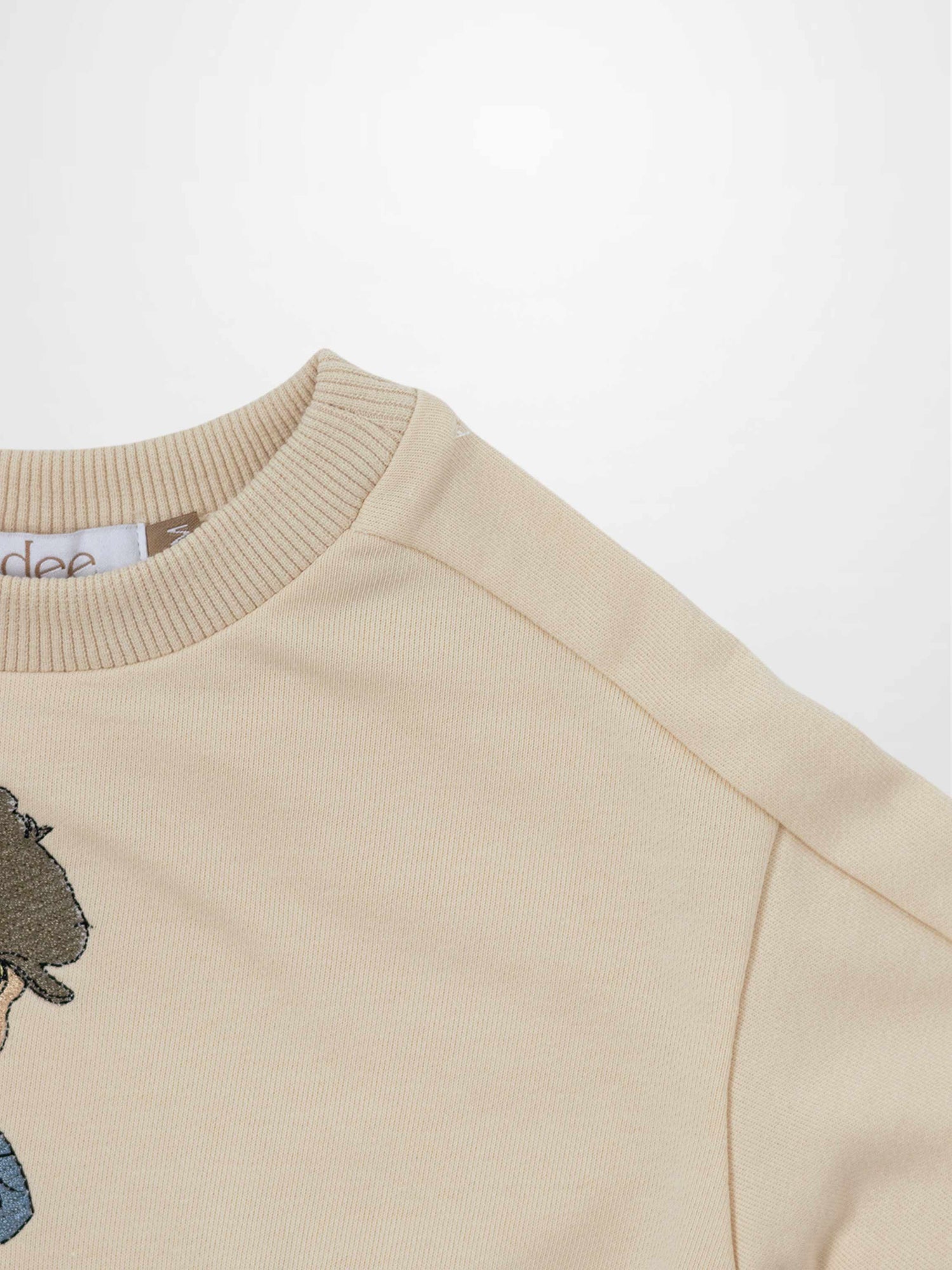 Embroidered Boy Sweatshirt